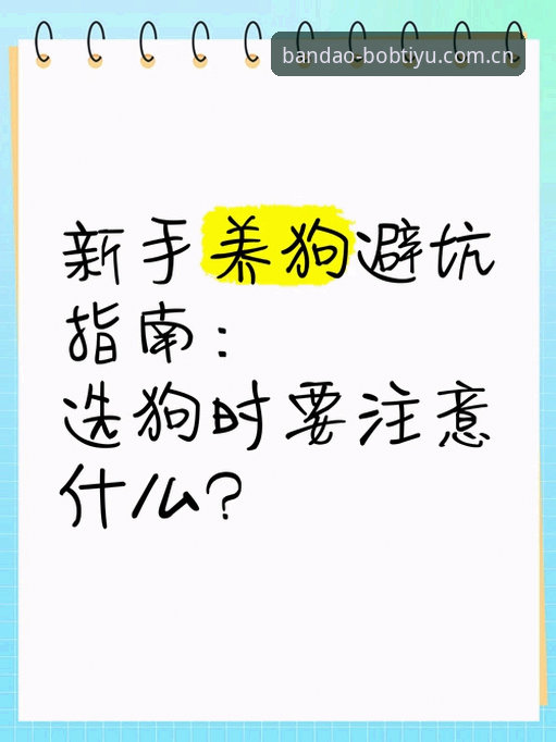 bob安卓版apk安装包哪个好 半岛体育官方APK安装包怎么选?不交学费的新手避坑指南
