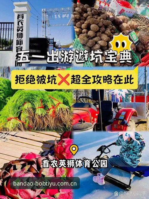 bob安卓版apk安装包 半岛体育官方APK安装包避坑指南:从用户小敏的教训看v2.8.0版本下载全流程解析